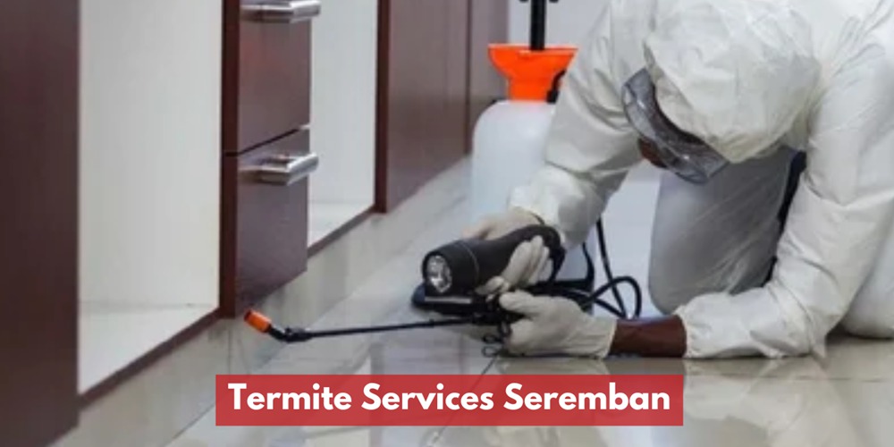 Perkhidmatan Kawalan Anai-anai Di Seremban